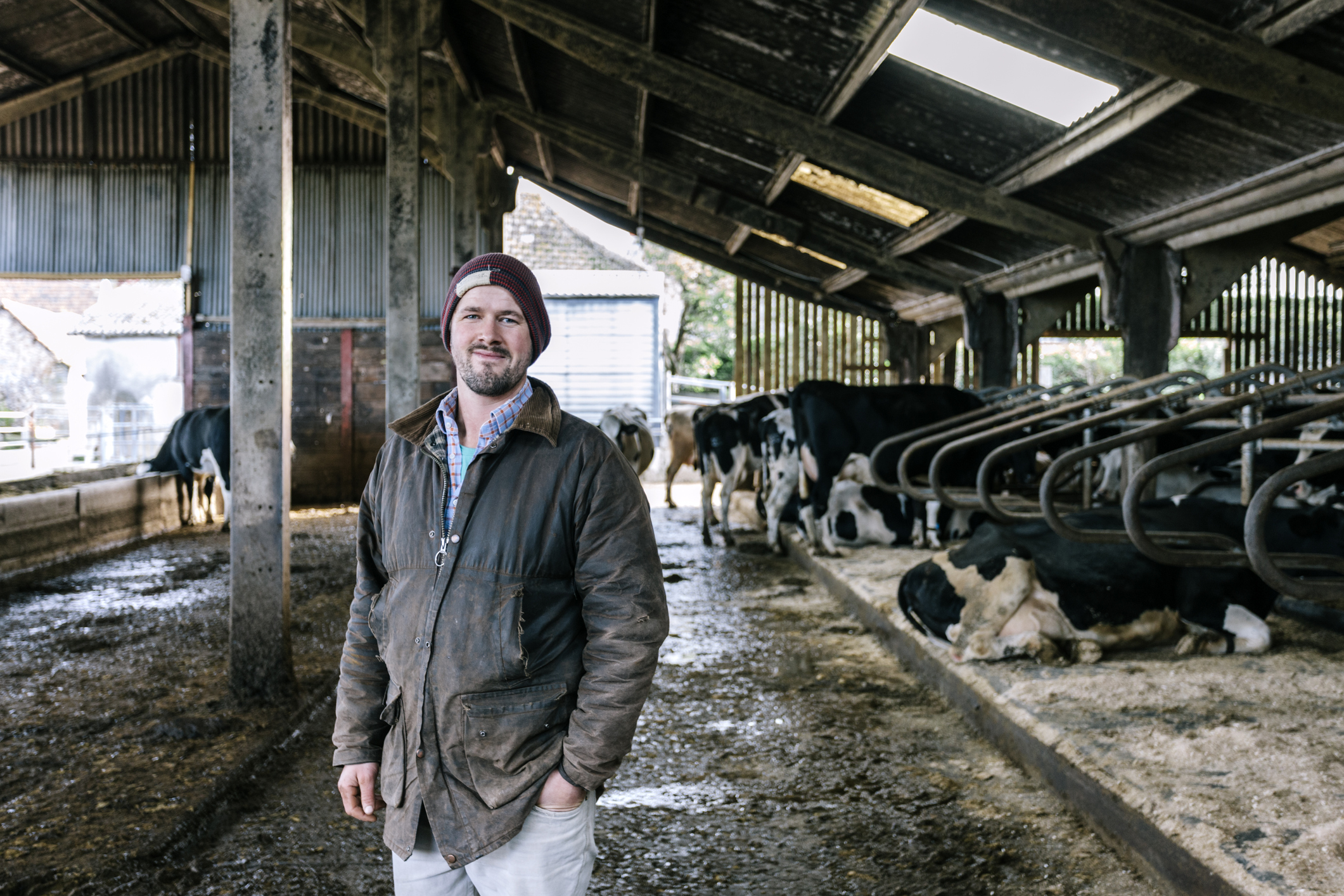 Farmer standing by his cows looking at the camera